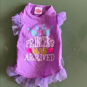 Lulu Pink “Princess Has Arrived” Tee (Girl) XS NWOT